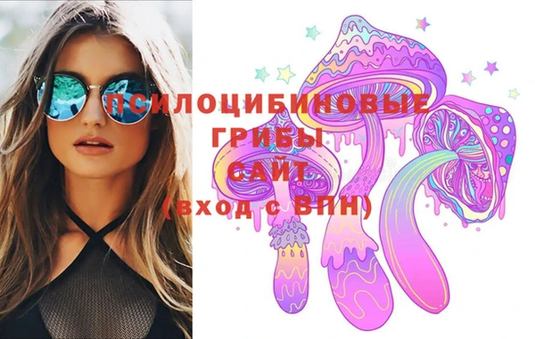 ГАЛЛЮЦИНОГЕННЫЕ ГРИБЫ Алзамай