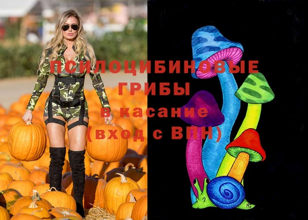 ГАЛЛЮЦИНОГЕННЫЕ ГРИБЫ Алзамай