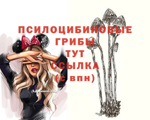 ГАЛЛЮЦИНОГЕННЫЕ ГРИБЫ Алзамай