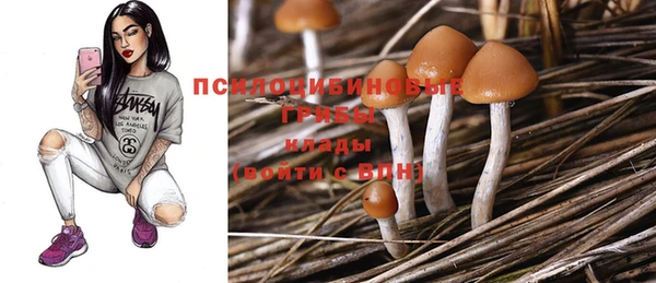 кристаллы Алексеевка