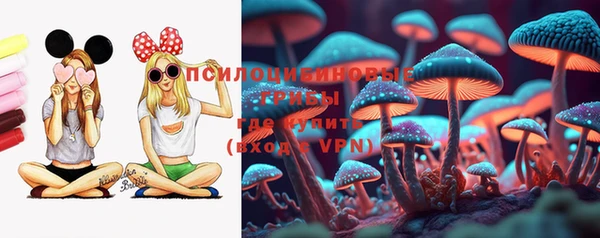 ГАЛЛЮЦИНОГЕННЫЕ ГРИБЫ Алзамай