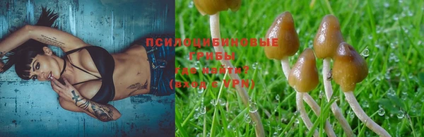 ГАЛЛЮЦИНОГЕННЫЕ ГРИБЫ Алзамай