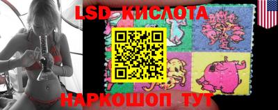 гашик Малгобек