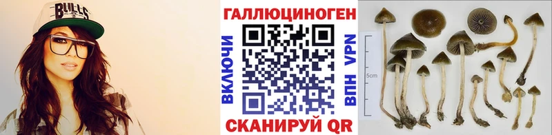 Псилоцибиновые грибы GOLDEN TEACHER Изобильный