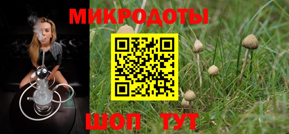 Псилоцибиновые грибы мицелий Изобильный